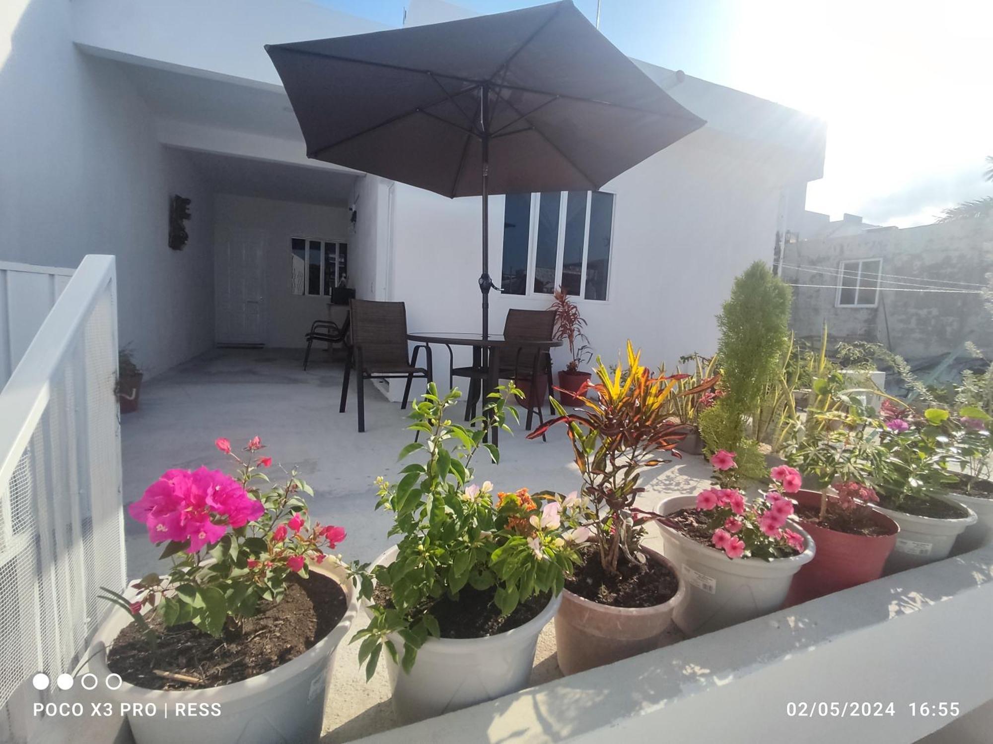 Tierra Maya Hotel Playa del Carmen Ngoại thất bức ảnh
