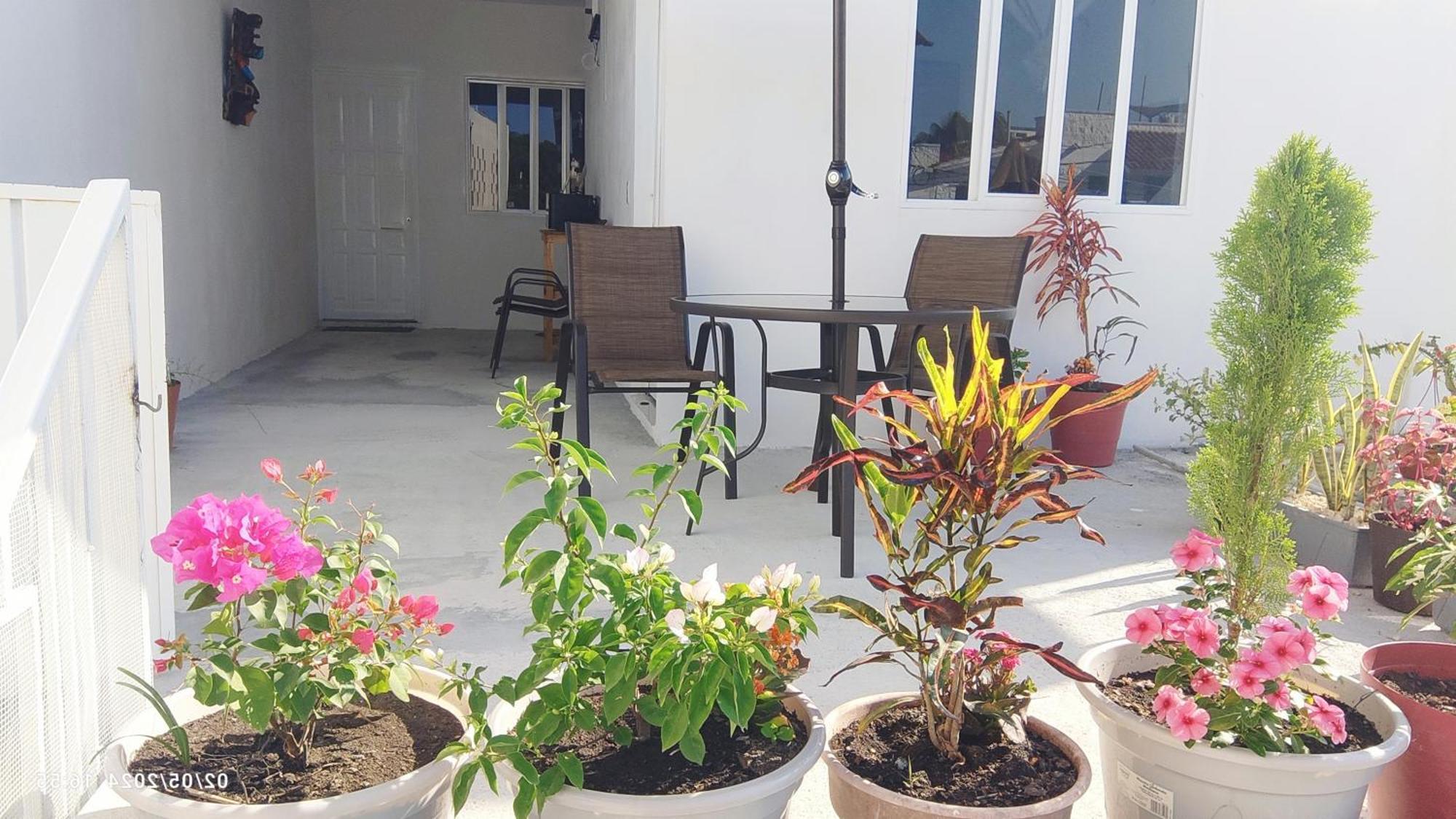 Tierra Maya Hotel Playa del Carmen Ngoại thất bức ảnh